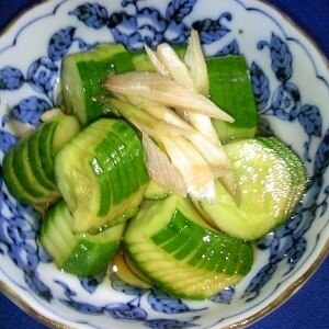 めんつゆで きゅうりとみょうがの漬物 レシピ 作り方 By ハルボンズ 楽天レシピ めんつゆで きゅうりとみょうがの漬物 レシピ 作り方 By ハルボンズ 楽天レシピ